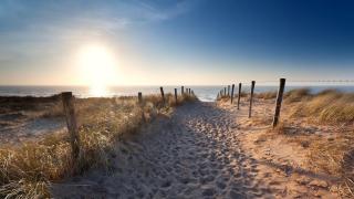 Sunny Place - Zandvoort - 1