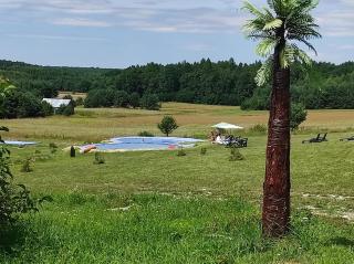 Stadnina koni Tarka - 7