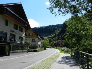 Ferienwohnungen in Schönmünzach - Baiersbronn - 4