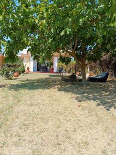 George house - Paliouri - 9