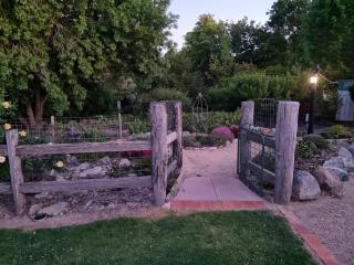 Behind the hedge - 7