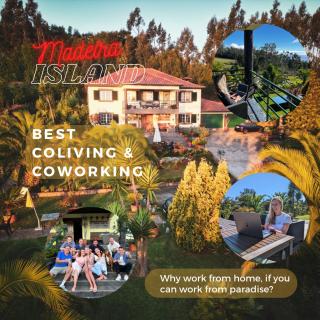 Homeoffice Madeira - CoLiving & Coworking with a nice community - Santa Cruz - 3