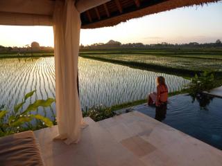 Fall in Love with Rose Moon - Ubud - 8