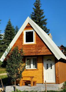 Forest Cabin 3 - Žabljak - 9