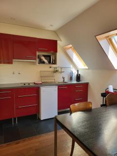 Villa Bridler Remise - Winterthur - 6