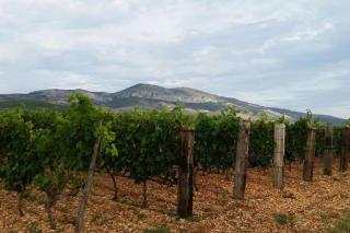 Bedroom for 3, in old Dalmatian house, under mountain, 14 km to NP Krka, 35 mins drive to Sibenik beach - Razvođe - 6