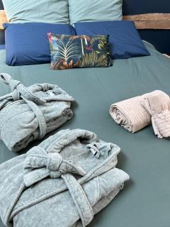 Piscine chauffée, Rouen centre, Maison atypique - 2