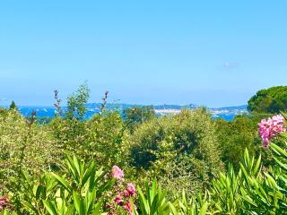Les Restanques pressoir 3029 - Grimaud - 7