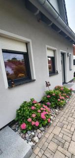 Ferienhaus Stolkos - Trassenheide - 1