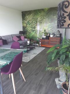 Appartement avec vue dégagée proche Paris - Boussy-Saint-Antoine - 0