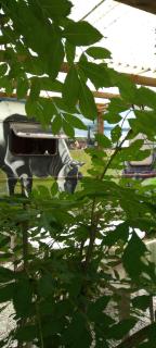 ferme pedagogique des pennetieres - 0