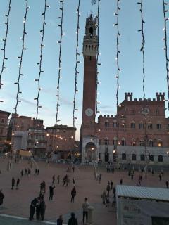 Casa dell'Alberino - Siena - 3