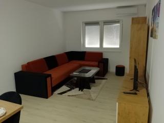 Apartman Petrovic 4 - Sokobanja - 5