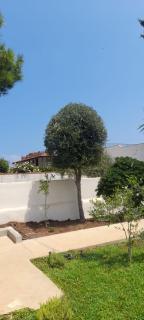 Villa Francesca - Carini - 2