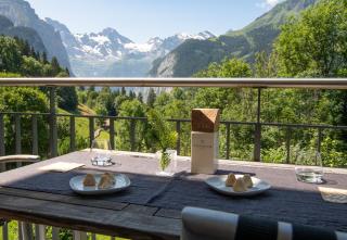 Chalet Mittaghorn Apt 5 - Wengen - 7