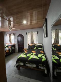 Apartamentos Mansión Tropical - 4