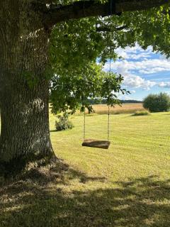 Licihof - - 6
