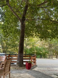 stefanias apartment - 1