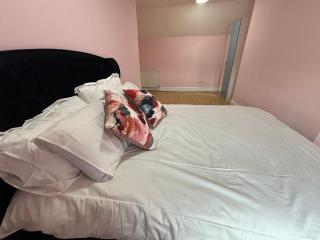 Cozy Pink House Fairview 6 Beds - Dublin - 7