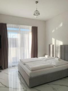 Silver Moon Residence 3 - Arad - 8