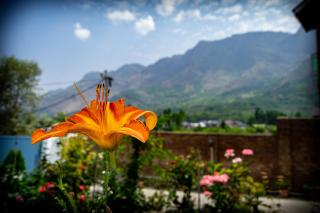 Zabarwan Peaks Villa - 8