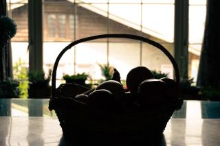 Zabarwan Peaks Villa - Srinagar - 6