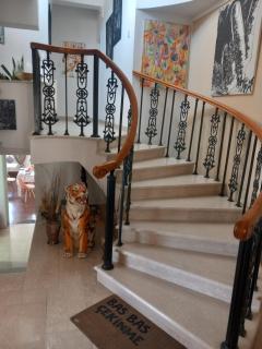 Vasilis family room - Dhromolaxia - 9