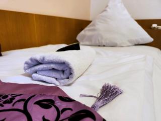 City Hotel Pforzheim - Pforzheim - 2