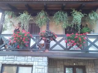Privatni Smeštaj Tešević - Zlatibor - 7