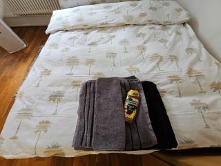 Apartment Studio Center of Bern & Up to 7 Seats Cars Rental Option - Berna - 8