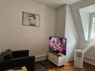 Apartment Studio Center of Bern & Up to 7 Seats Cars Rental Option - Berna - 1