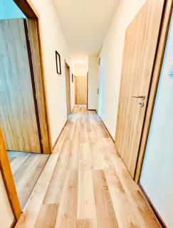 ZAROHEM 2 bedrooms APARTMENT in center with balcony - Brno - 8