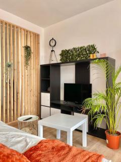 Appartement Tropical - Château-Renault - 4