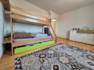 Helle Wohnung über St Gallen - St. Gallen - 9