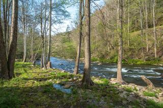 River Lodge By Stony Brook Cabins - 3