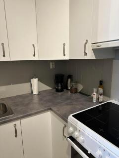 Central apartment - Notodden - 5