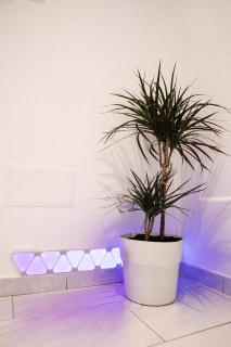 Firenze Dream Homes - Florenz - 3