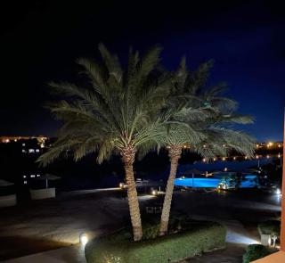 Westgolf y 62 1-8 - Hurghada - 0
