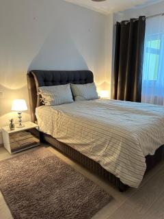 Complex Apartment - Self Check-in 24h - Timişoara - 6