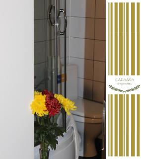 Bucur Accommodation - 6