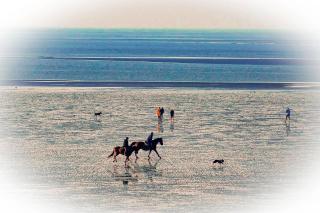 Haus Horizont HZ09 - Cuxhaven - 9