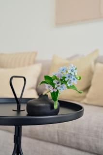Apartment B14 "Pine Hill Resort" - Zirchow - 9