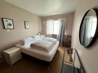 Apartment in Laugarnesvegi, Reykjavik - Birta Rentals - Reikiavik - 9