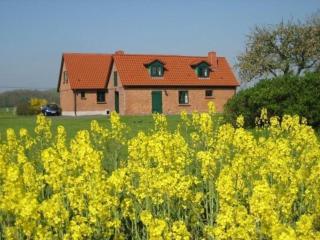 Ferienhaus Kranich in Ummanz-Lüßvitz - Ummanz - 8