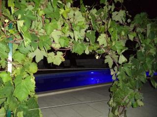 Große Wohnung in Marina mit Garten, gemeinsamem Pool und Grill - Marina - 5