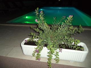 Große Wohnung in Marina mit Garten, gemeinsamem Pool und Grill - Marina - 4