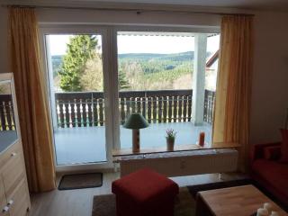 Hochwertig ausgestattete Ferienwohnung mit Balkon in ruhiger Lage - Braunlage - 5