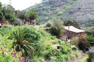 Freistehendes Ferienhaus La Maleza In La Palmita - Agulo - 9