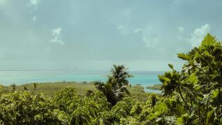 POSADA NATIVA DERMA´S INN - San Andrés - 5