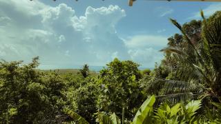 POSADA NATIVA DERMA´S INN - San Andrés - 4